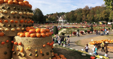 Kürbisausstellung im Blühenden Barock Ludwigsburg